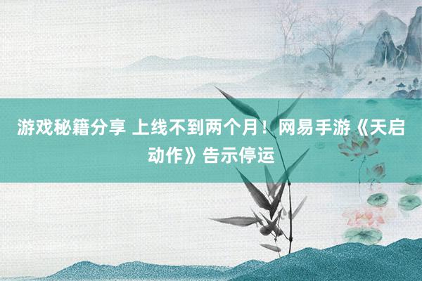 游戏秘籍分享 上线不到两个月！网易手游《天启动作》告示停运