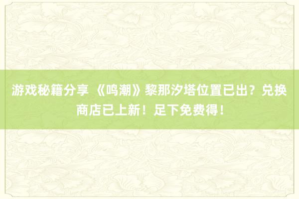 游戏秘籍分享 《鸣潮》黎那汐塔位置已出？兑换商店已上新！足下免费得！