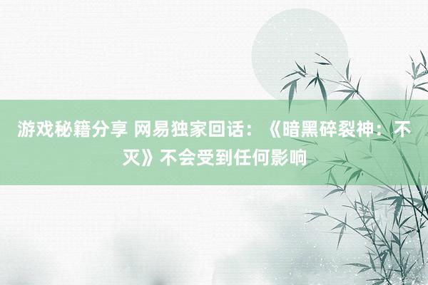 游戏秘籍分享 网易独家回话：《暗黑碎裂神：不灭》不会受到任何影响