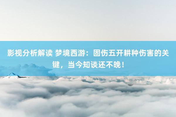 影视分析解读 梦境西游：固伤五开耕种伤害的关键，当今知谈还不晚！