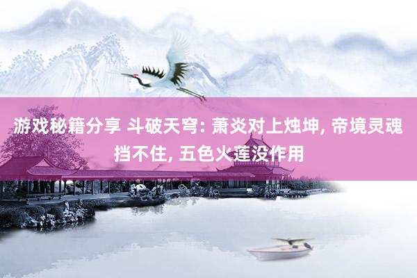 游戏秘籍分享 斗破天穹: 萧炎对上烛坤, 帝境灵魂挡不住, 五色火莲没作用