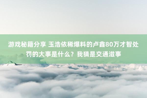 游戏秘籍分享 玉浩依稀爆料的卢鑫80万才智处罚的大事是什么？我猜是交通滋事