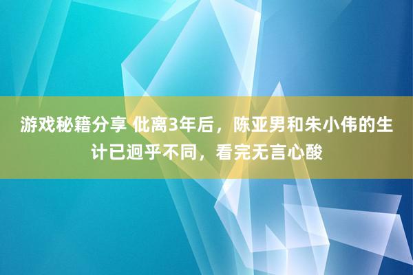 游戏秘籍分享 仳离3年后，陈亚男和朱小伟的生计已迥乎不同，看完无言心酸