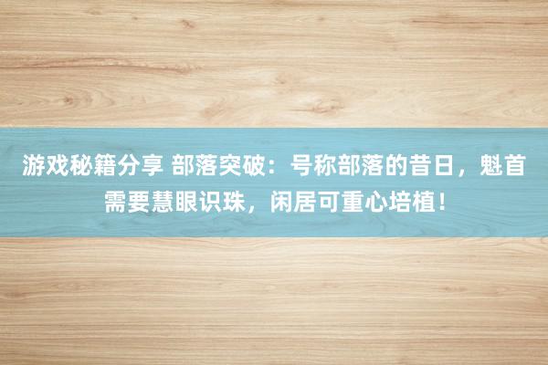 游戏秘籍分享 部落突破：号称部落的昔日，魁首需要慧眼识珠，闲居可重心培植！