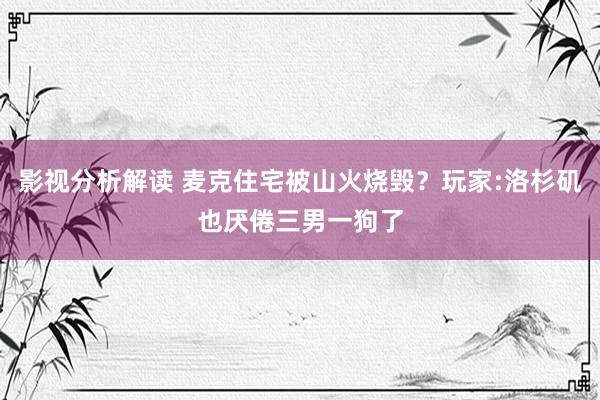 影视分析解读 麦克住宅被山火烧毁？玩家:洛杉矶也厌倦三男一狗了