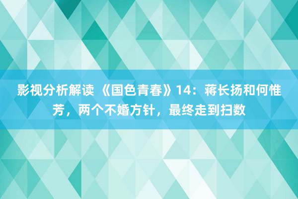 影视分析解读 《国色青春》14：蒋长扬和何惟芳，两个不婚方针，最终走到扫数