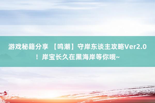 游戏秘籍分享 【鸣潮】守岸东谈主攻略Ver2.0！岸宝长久在黑海岸等你哦~