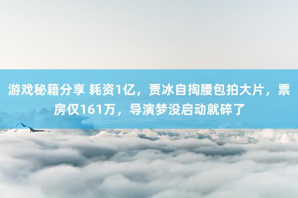 游戏秘籍分享 耗资1亿，贾冰自掏腰包拍大片，票房仅161万，导演梦没启动就碎了