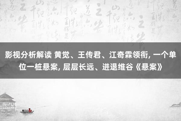 影视分析解读 黄觉、王传君、江奇霖领衔, 一个单位一桩悬案, 层层长远、进退维谷《悬案》