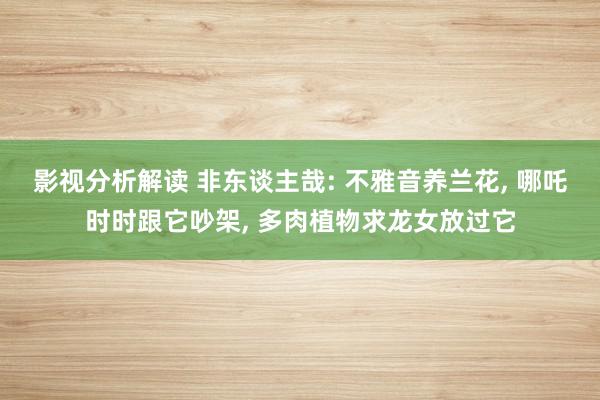 影视分析解读 非东谈主哉: 不雅音养兰花, 哪吒时时跟它吵架, 多肉植物求龙女放过它