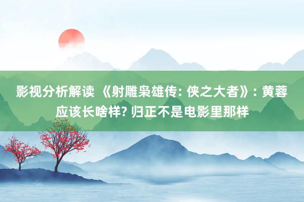 影视分析解读 《射雕枭雄传: 侠之大者》: 黄蓉应该长啥样? 归正不是电影里那样